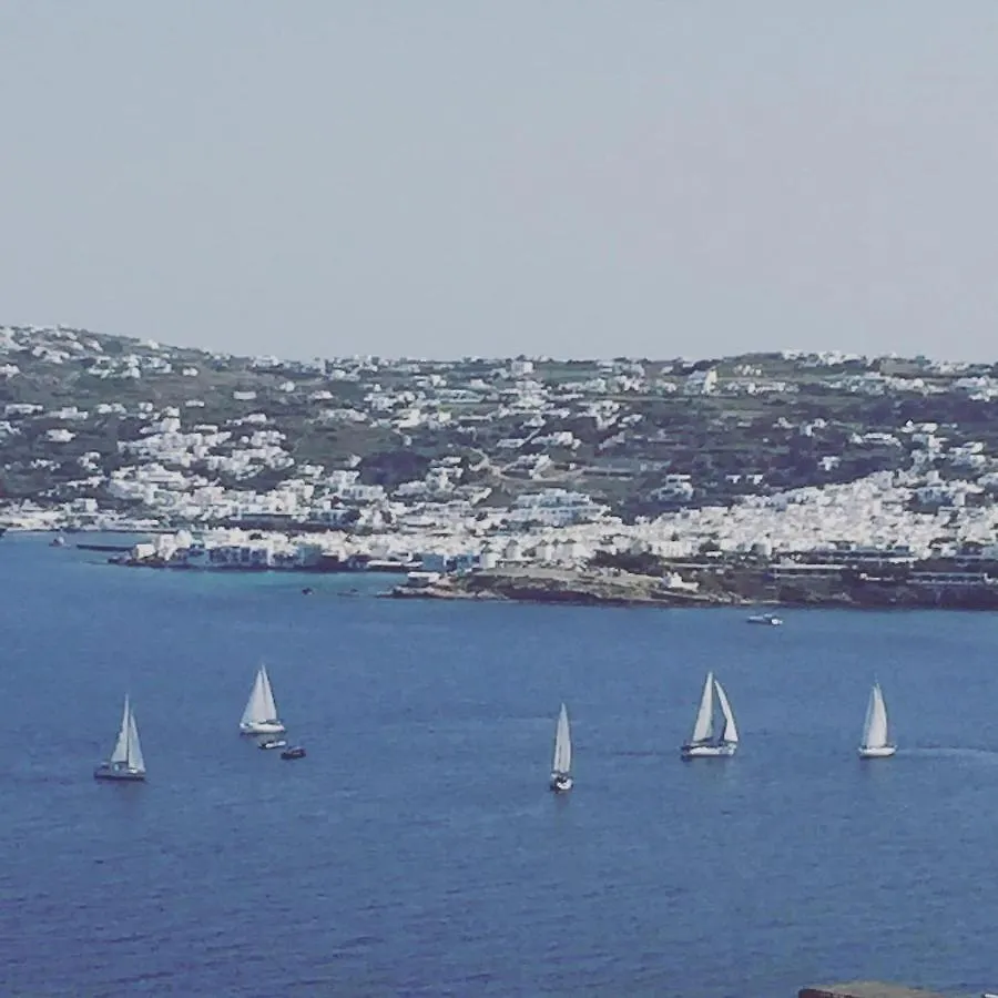 Villa Biancarosa With Amazing Views! Mykonos Town 0*,